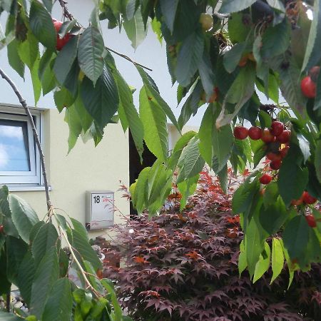 Bed & Breakfast Engen Dış mekan fotoğraf