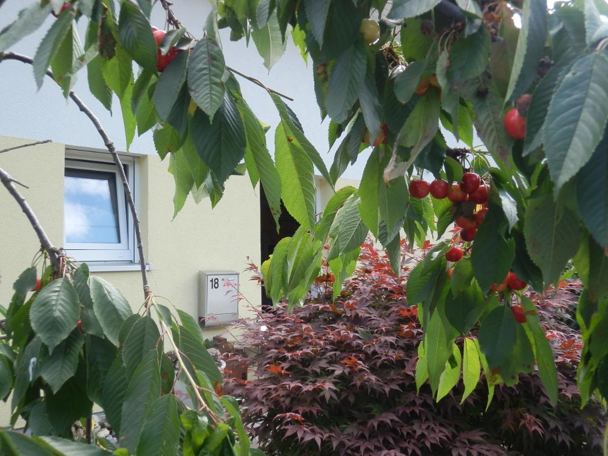 Bed & Breakfast Engen Dış mekan fotoğraf